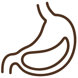 Icona migliora la digestione